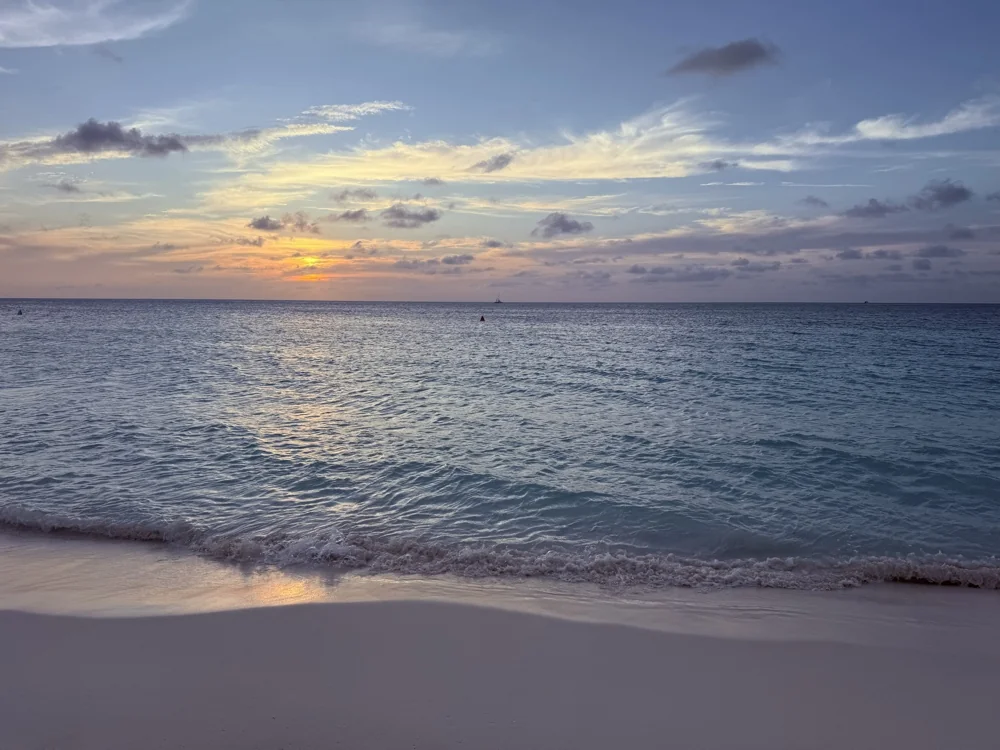 2 Minutes to Palm Beach Ceremony Venues